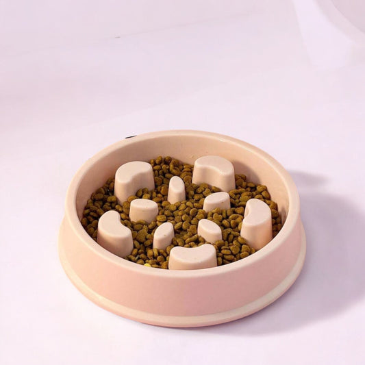 Pet Slow feeder bowl