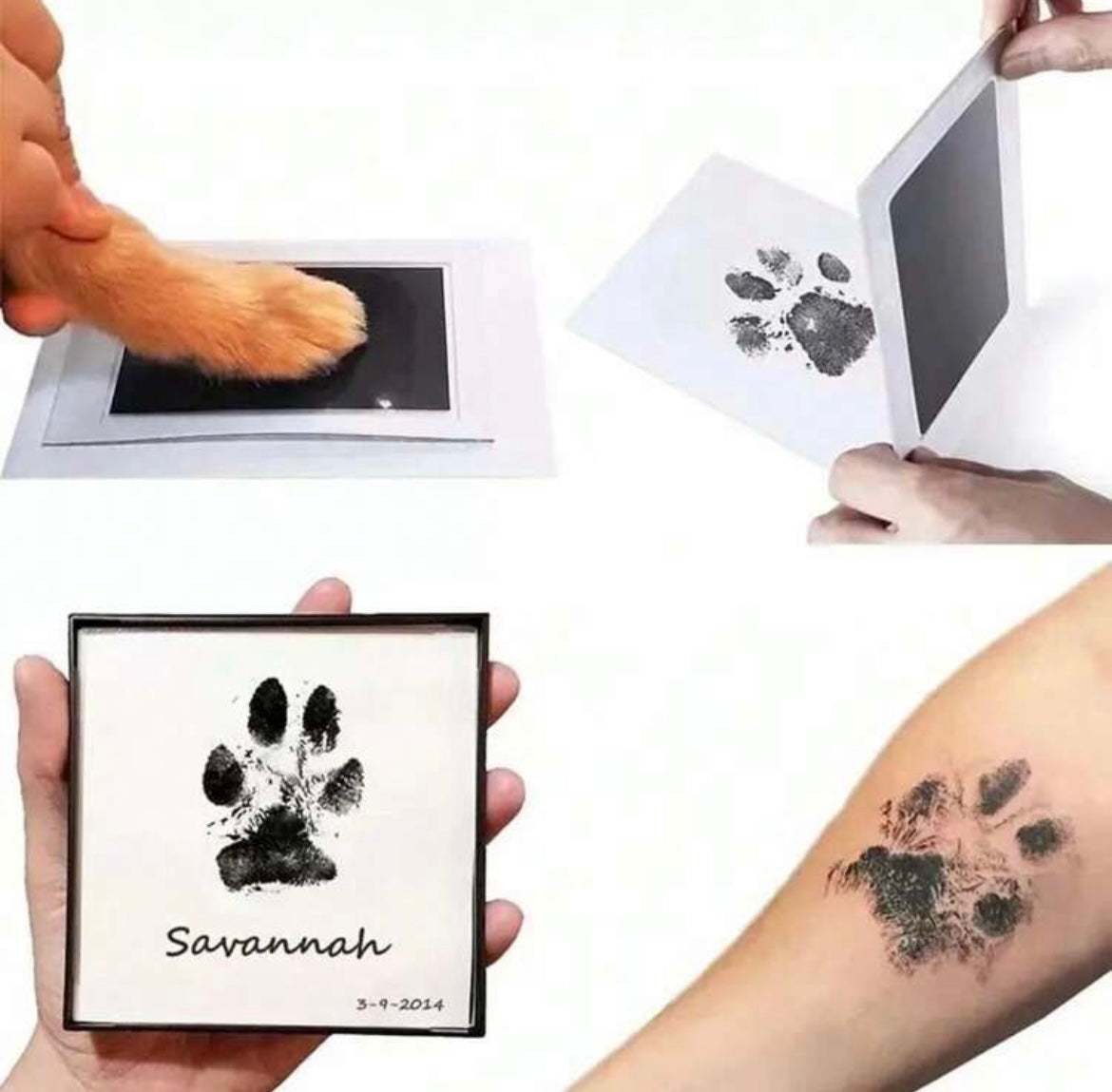 Ink pad paw print